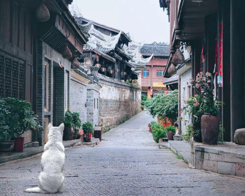 探索山中小屋